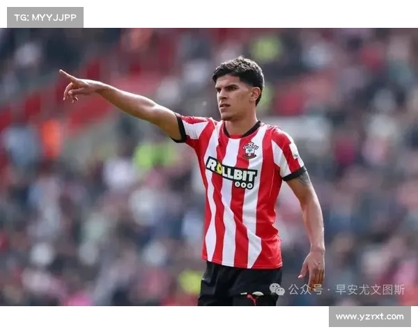 米兰计划将佳夫本纳塞尔等球员纳入弗拉霍维奇交易中