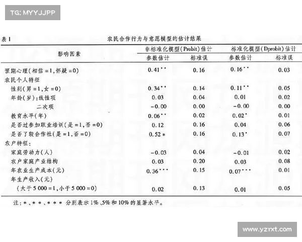 法甲球队装备赞助商合作分析与市场影响研究 法甲球队装备赞助商合作分析与市场影响研究